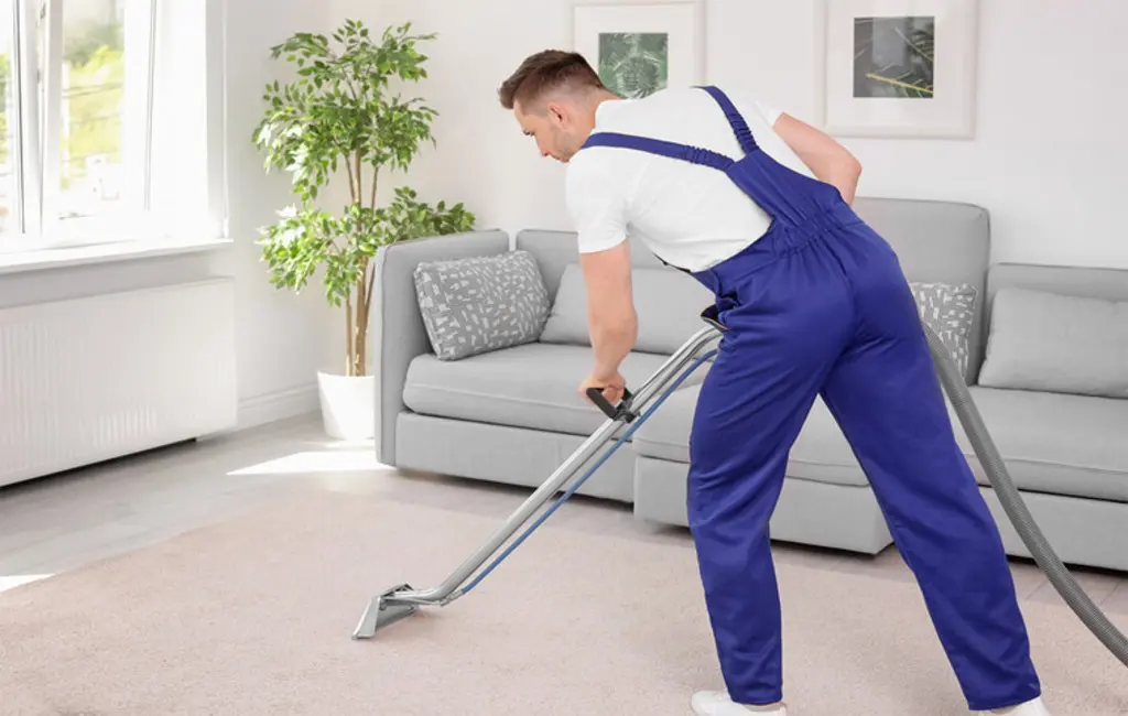 Cleanify technician performing carpet cleaning in a Tauranga home