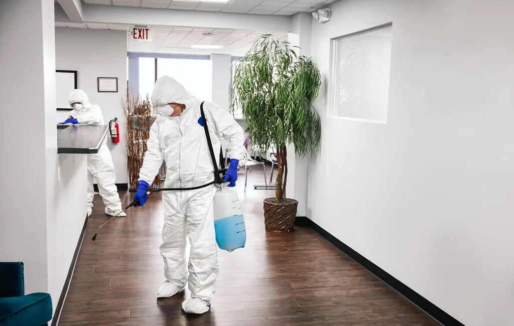 Suited technician performing meth decontamination in Tauranga