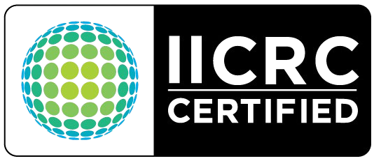 IICRC Certified Professional Cleaning Services Tauranga - Cleanify