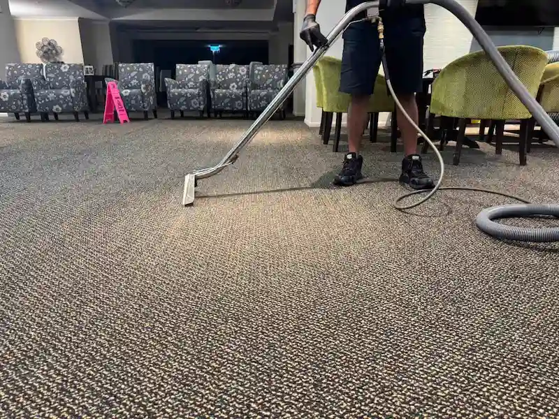 Freshly cleaned carpet showing dramatic before and after results