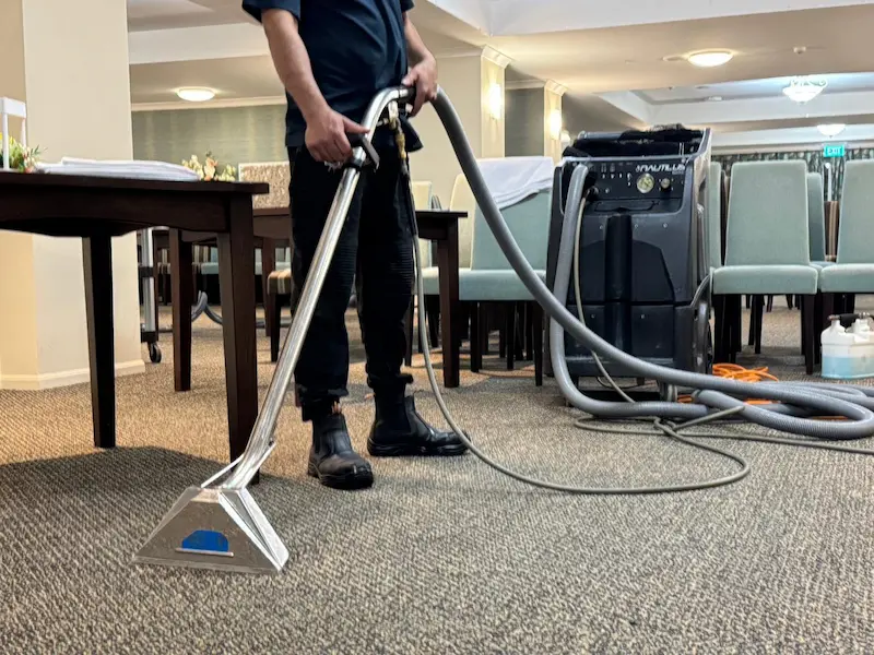 Professional carpet cleaning equipment ready for use in a Tauranga home