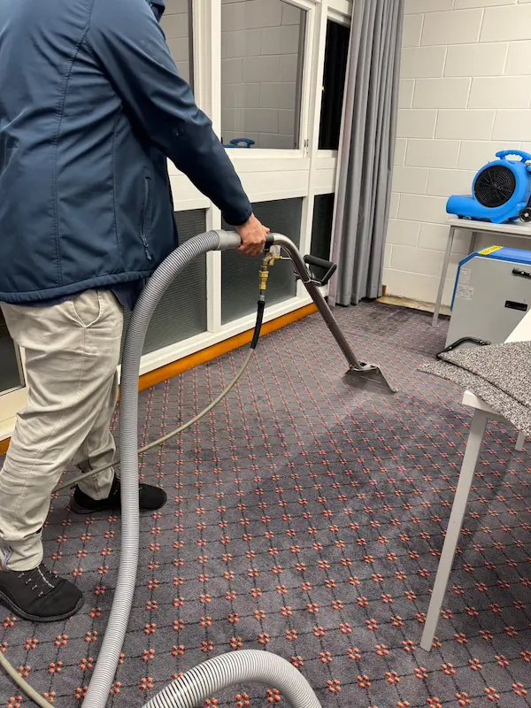 Professional carpet cleaning technician using extraction equipment in Tauranga home