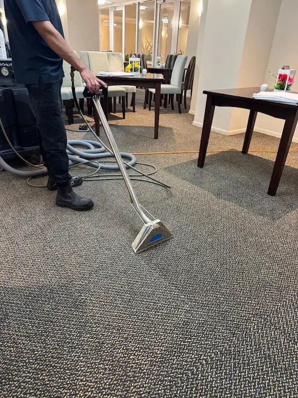 Blotting technique for carpet stain removal in Bay of Plenty home