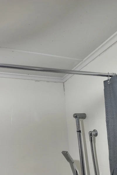 Bathroom ceiling showing mould growth before professional cleaning in Bay of Plenty