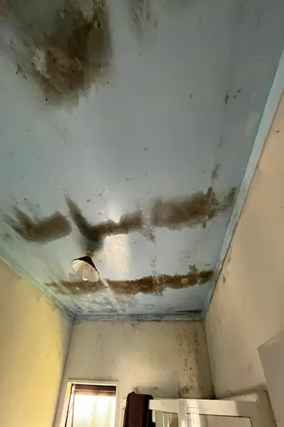 Extensive wall mould growth requiring treatment in Papamoa property