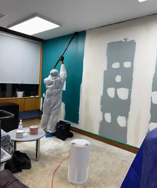 HEPA vacuum being used for mould removal from wall in Bay of Plenty property