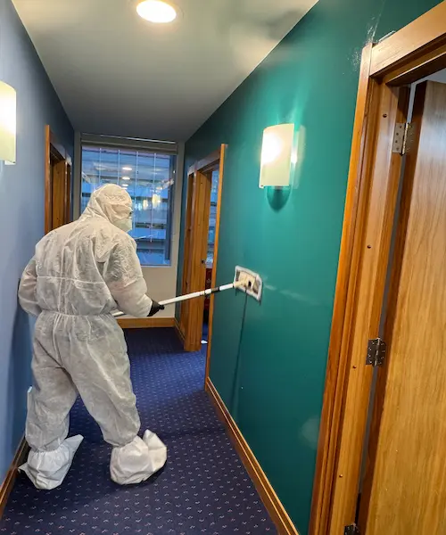 Cleanify technician in full PPE gear preparing for mould remediation in Tauranga home
