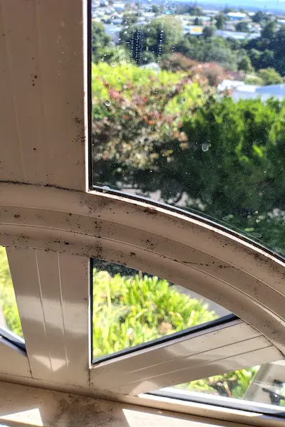 Mould growth on window frames caused by condensation in Tauranga home