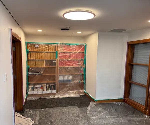 Professional containment setup with plastic sheeting for safe mould removal in Tauranga