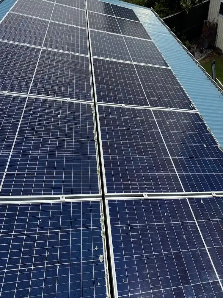 Dirty solar panels with debris before cleaning in Tauranga