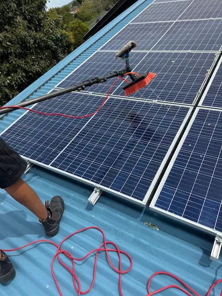Cleanify technician performing residential solar panel cleaning on a Tauranga rooftop