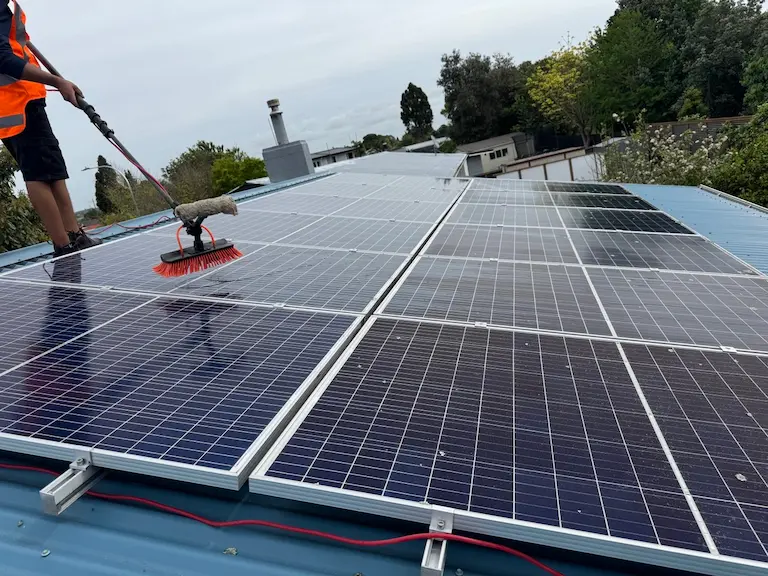 Clean solar panels on a roof-mounted system in Bay of Plenty after professional cleaning