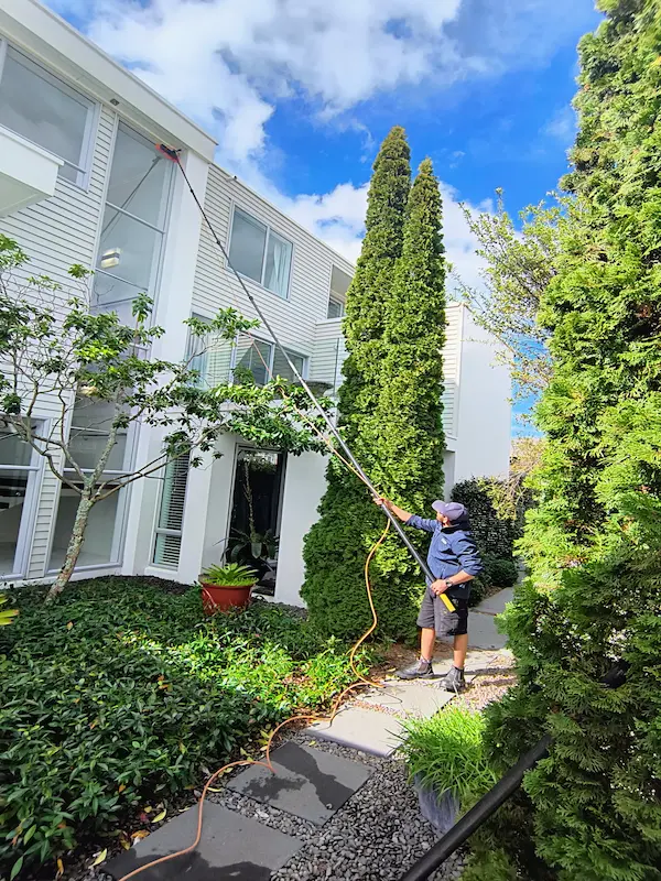 High-reach window cleaning using water-fed pole system in Tauranga